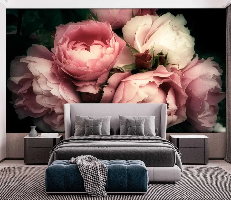 Fototapet Delikat rosa pioner u08062