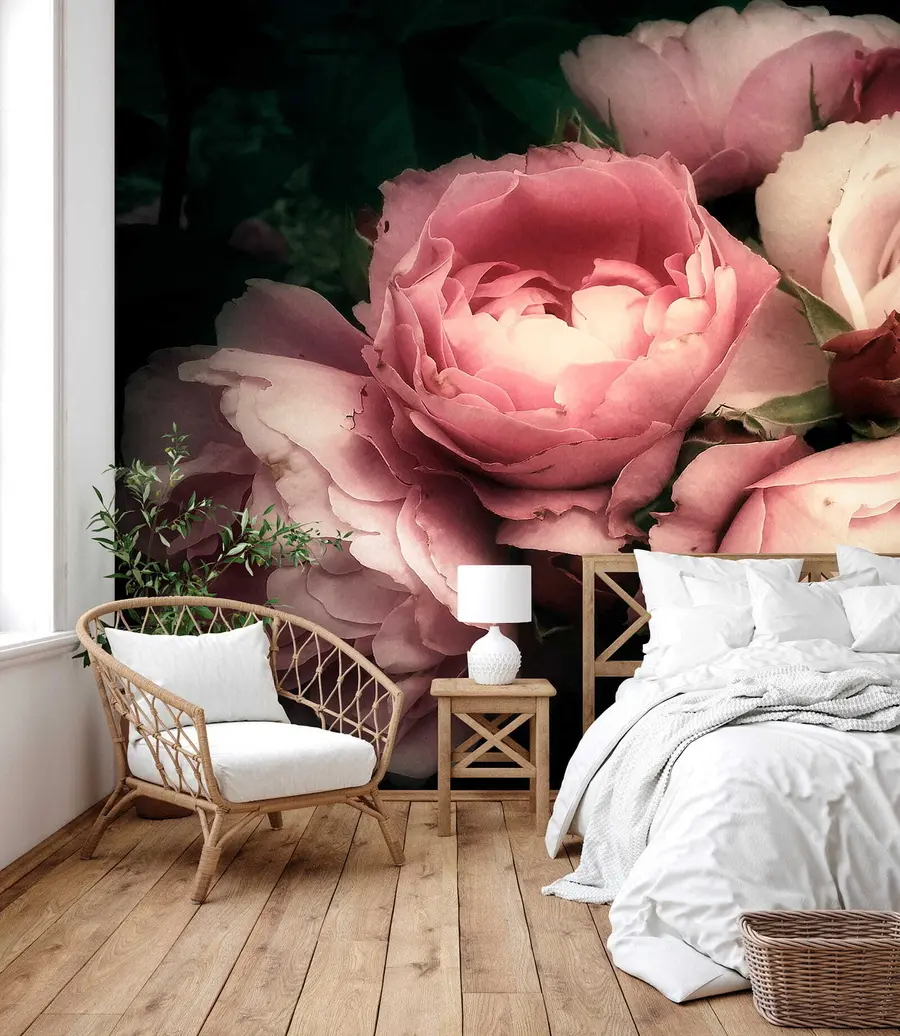 Fototapet Delikat rosa pioner u08062