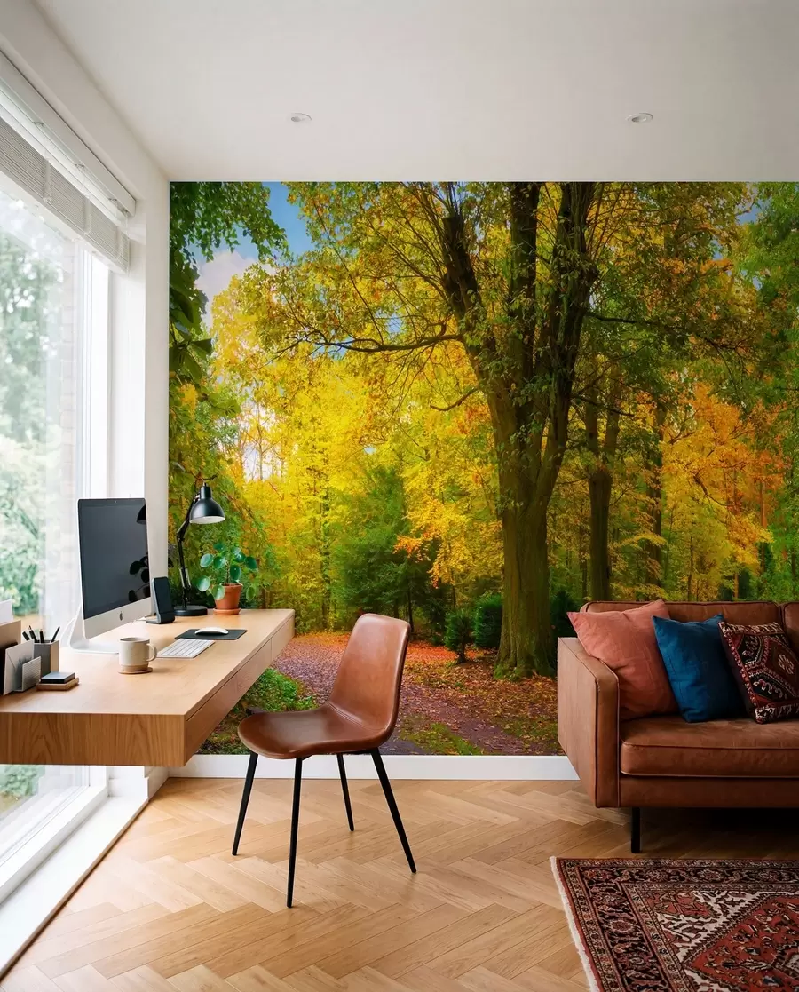 Fototapet Början av hösten u08547