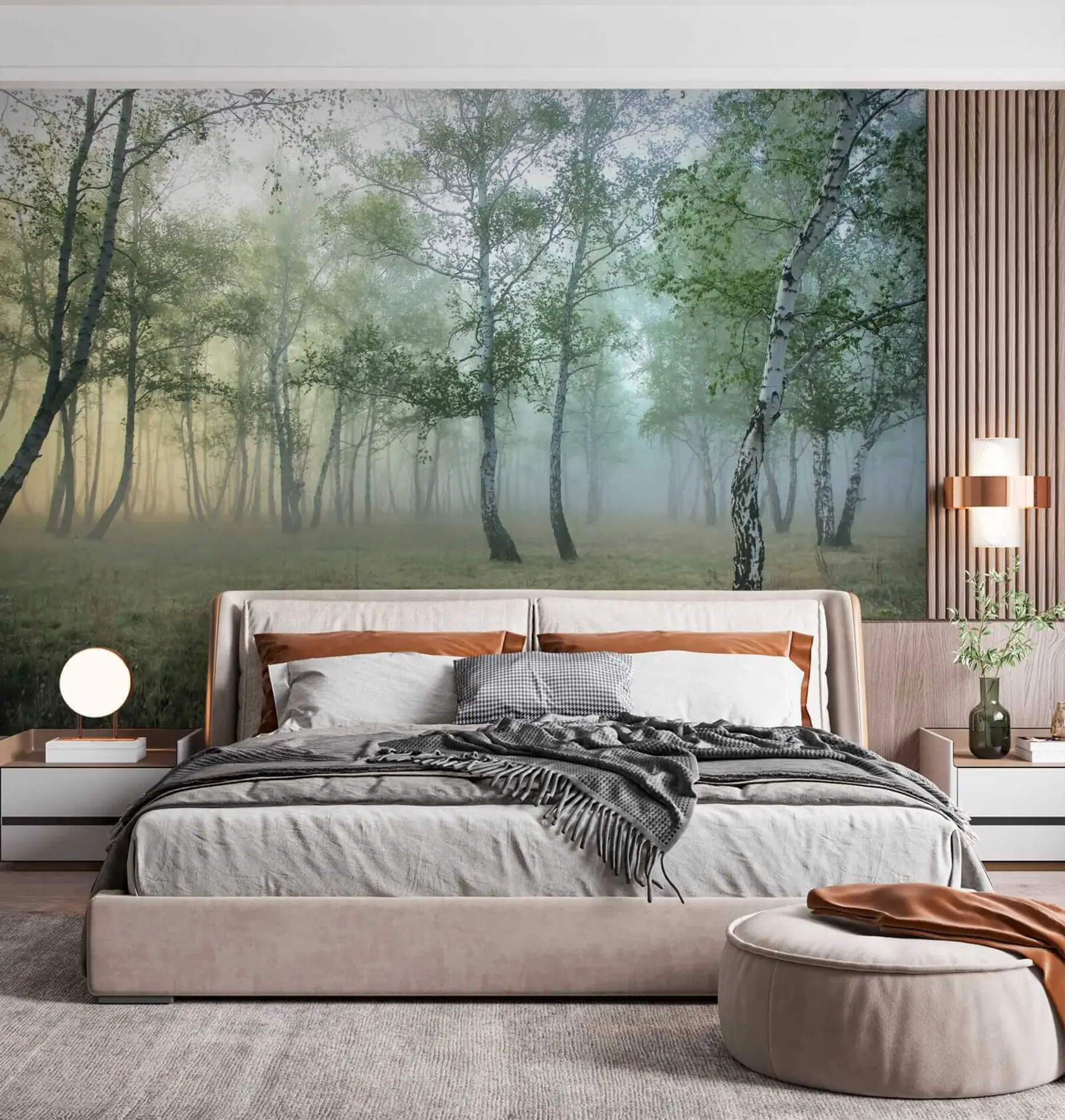 Fototapet Dimbjörkskog u25820