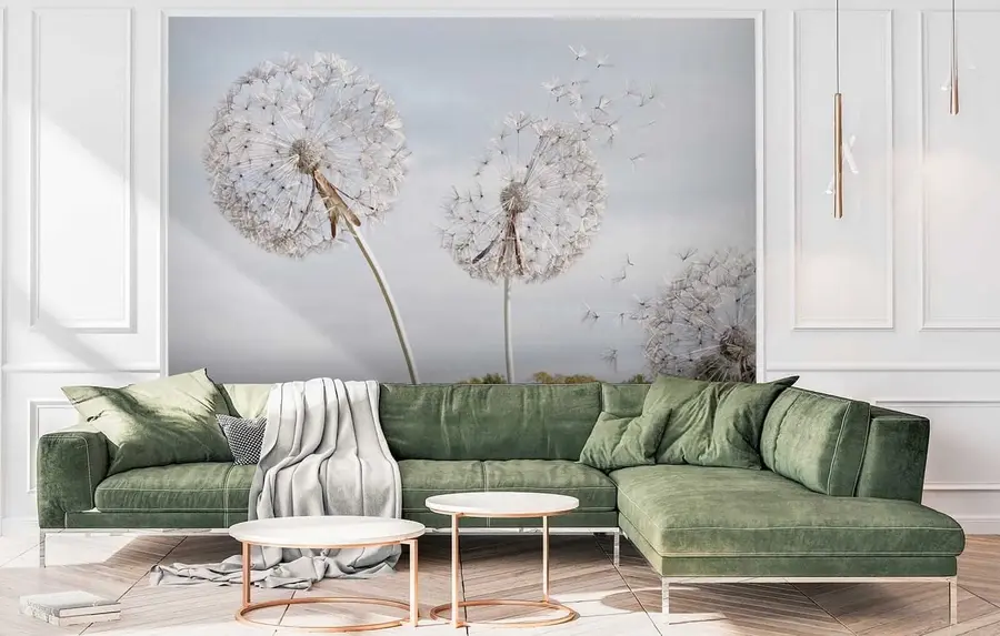 Fototapet Stora maskrosor u44628
