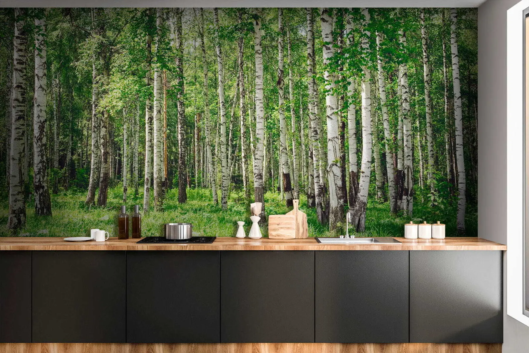 Fototapet Björkskog u52530