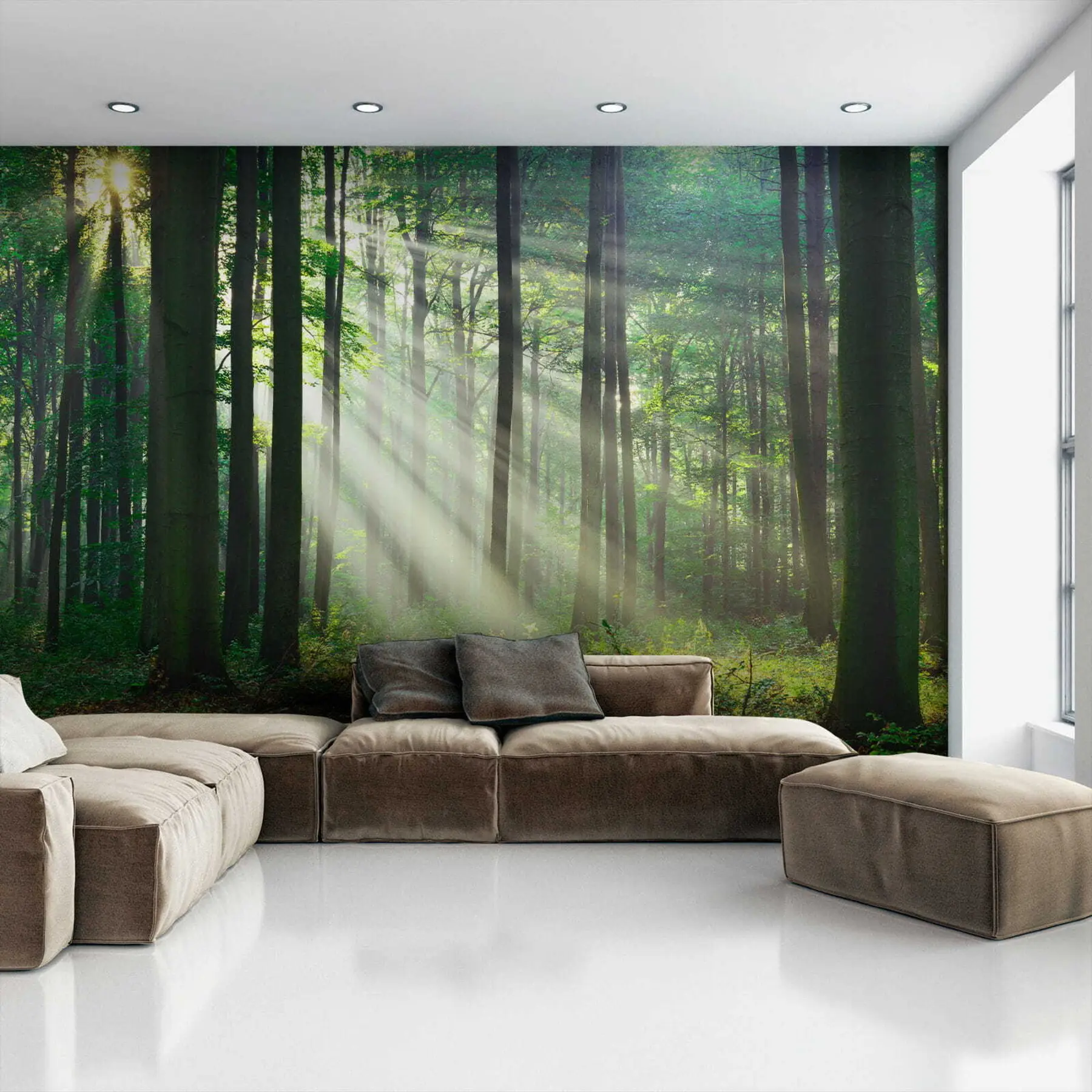 Fototapet Soliga strålar i skogen u56787