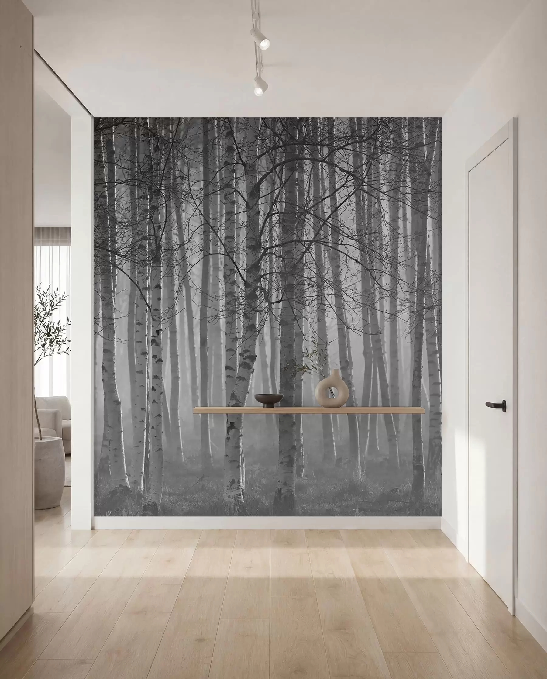 Fototapet Morgondimma i björkskogen u58971