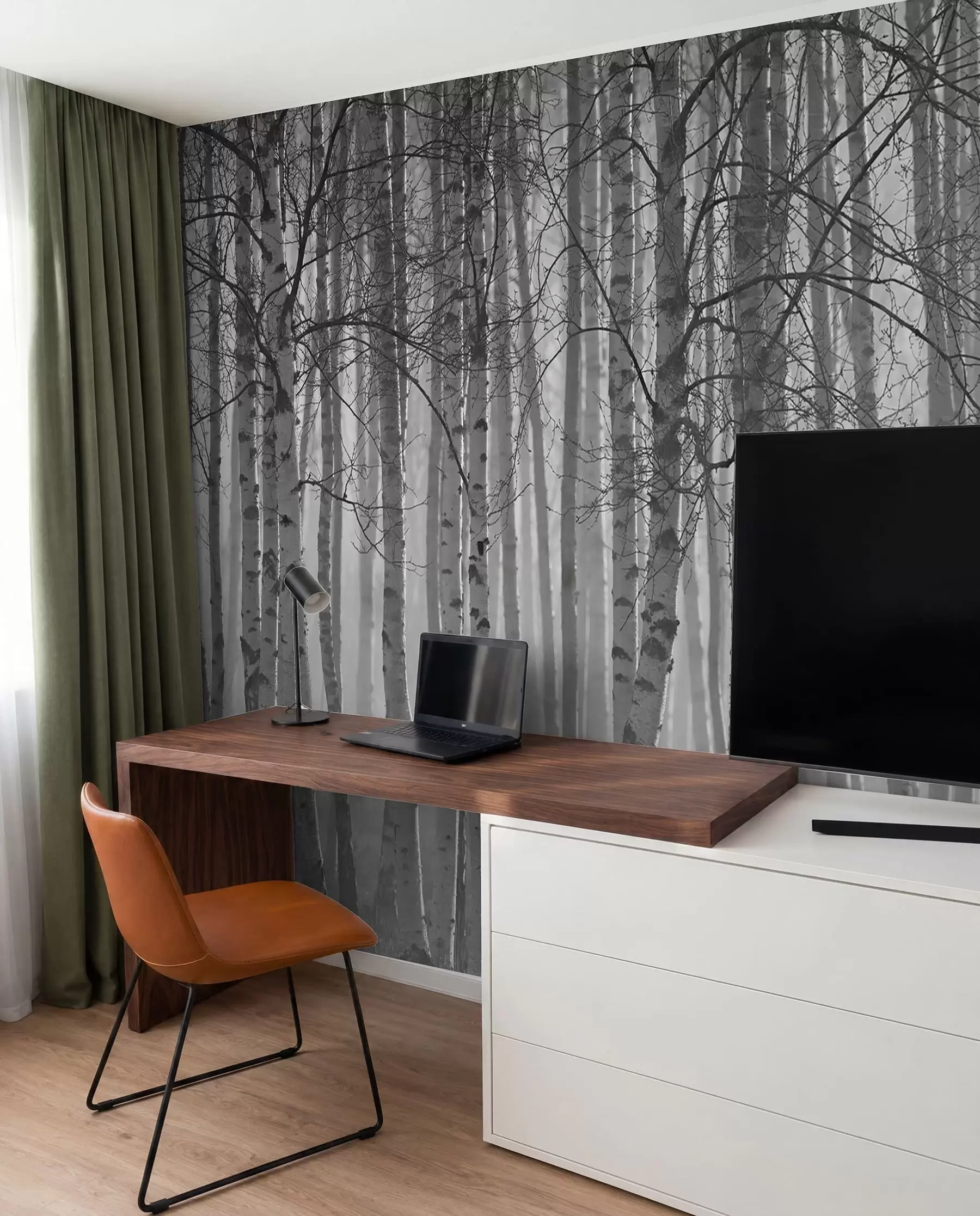 Fototapet Morgondimma i björkskogen u58971