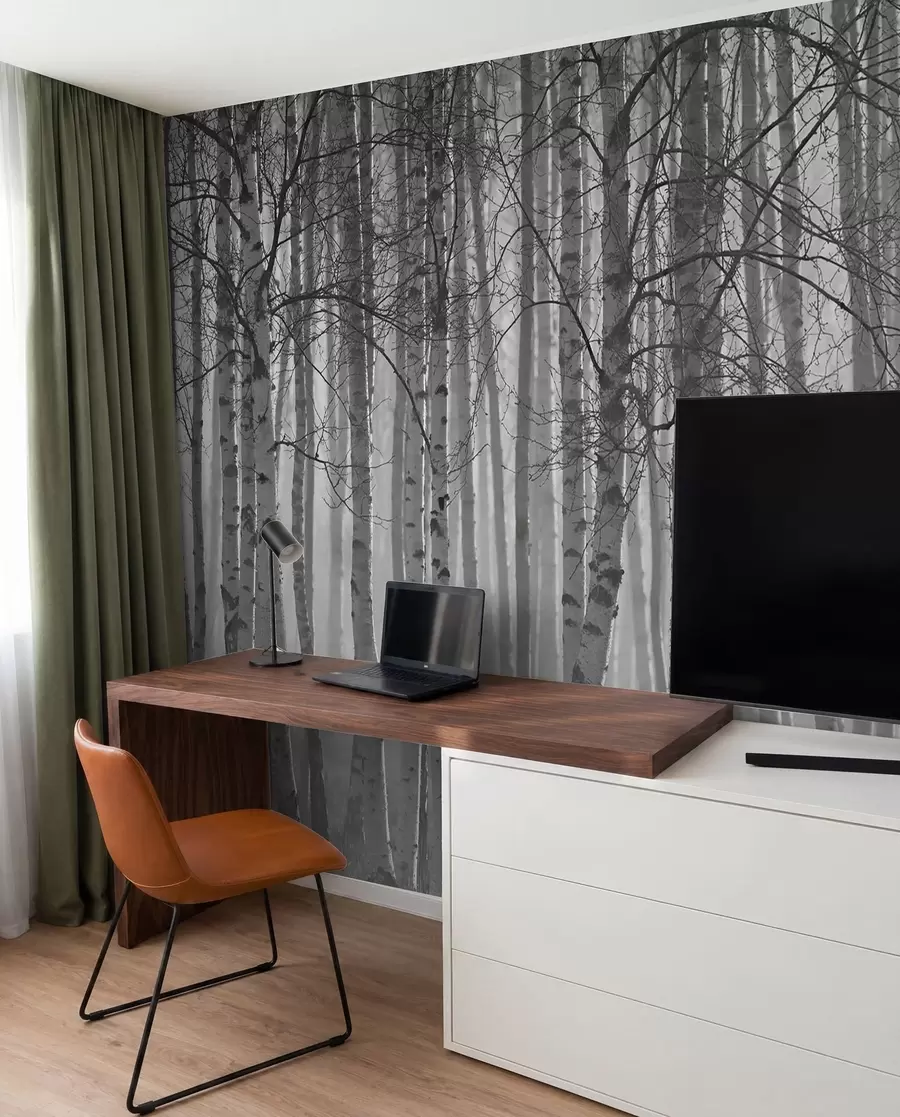 Fototapet Morgondimma i björkskogen u58971
