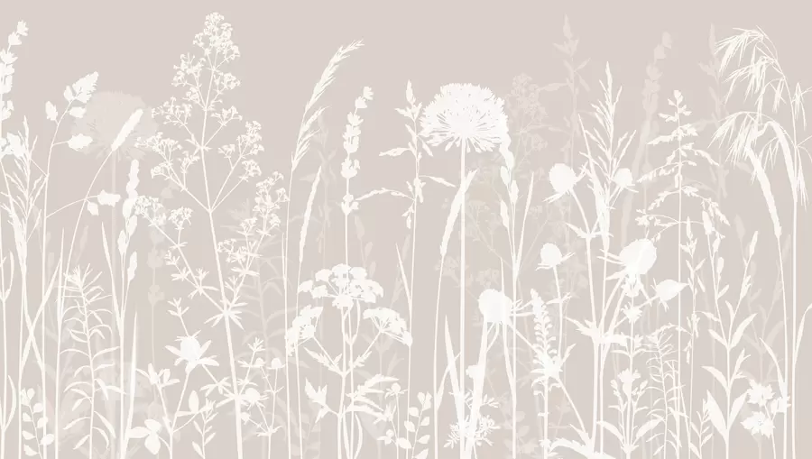 Fototapet Mild fältväxter och blommor minimalism w01270