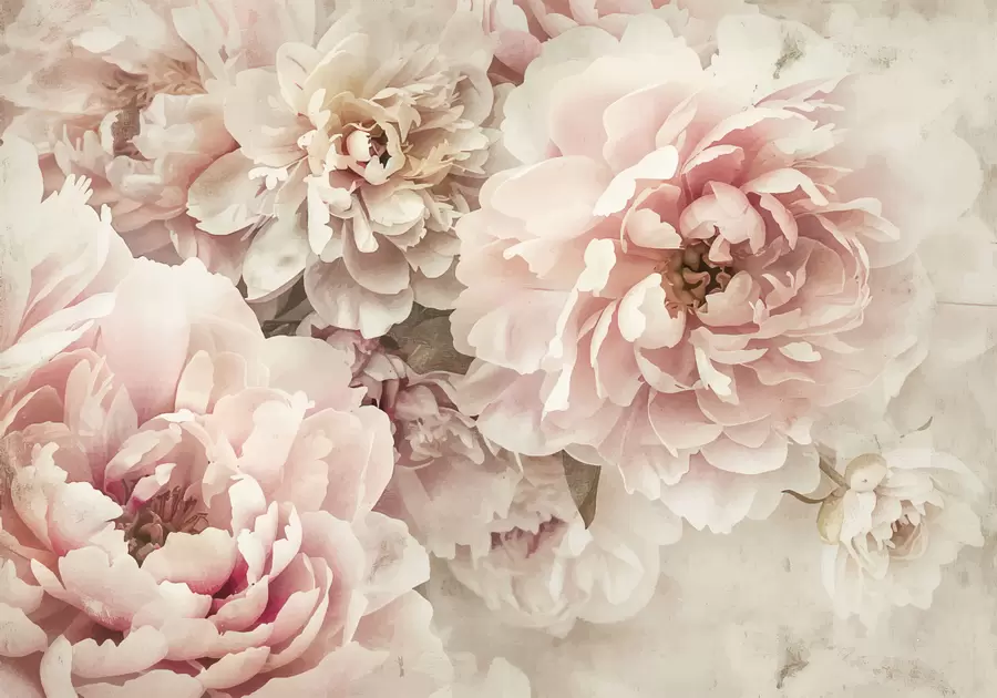 Fototapet Pioner w01232