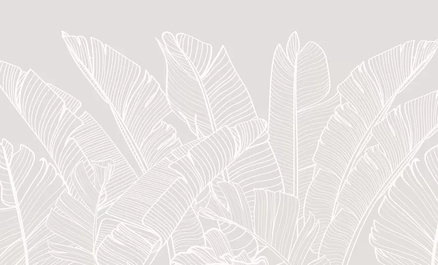 Fototapet Tropisk banan lämnar minimalism ny trend w08210