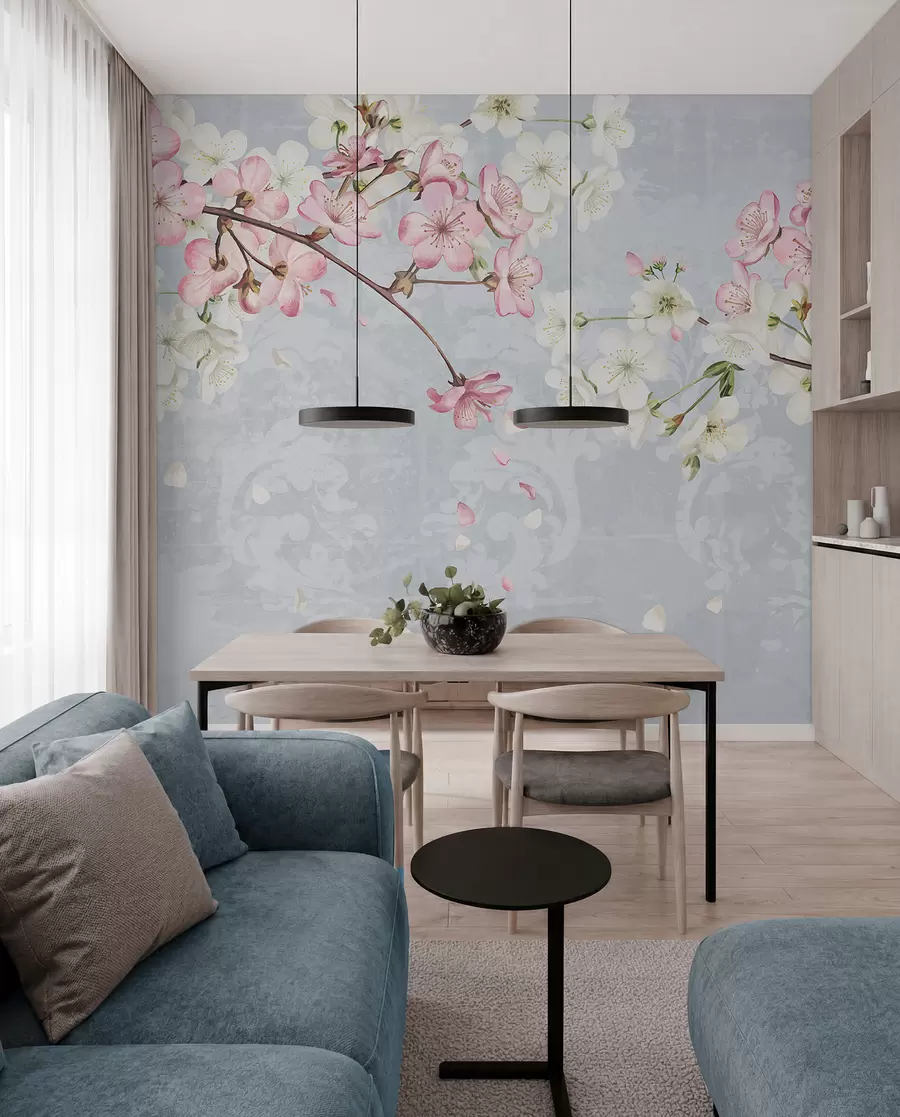 Fototapet Rosa och vita körsbärsblommor i full blom, med mjuka kronblad som faller mot en strukturerad blå bakgrund w08254
