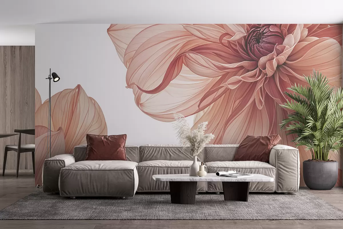 Fototapet Närbild av flera stora, röda dahliablommor med mjuka, skira kronblad mot en vit bakgrund w08257