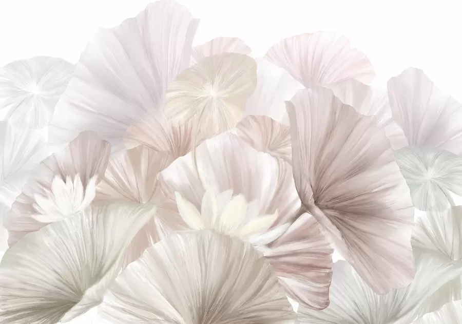 Fototapet Delikat rosa lotusblad med vita blommor med mjuka, fjäderliknande kronblad arrangerade i en naturlig konstkomposition w08265v1