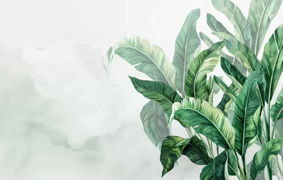 Fototapet bananblad, stora blad, gröna blad, tropiska blad w01630