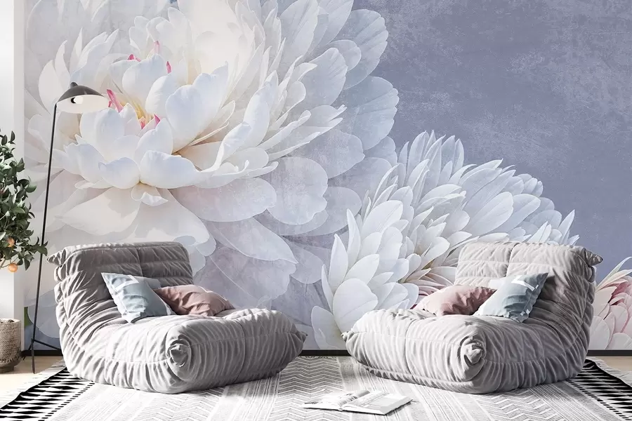 Fototapet Vita detaljerade pionblommor med mjuka, skira kronblad mot en ljus pastellblå texturerad bakgrund w08379