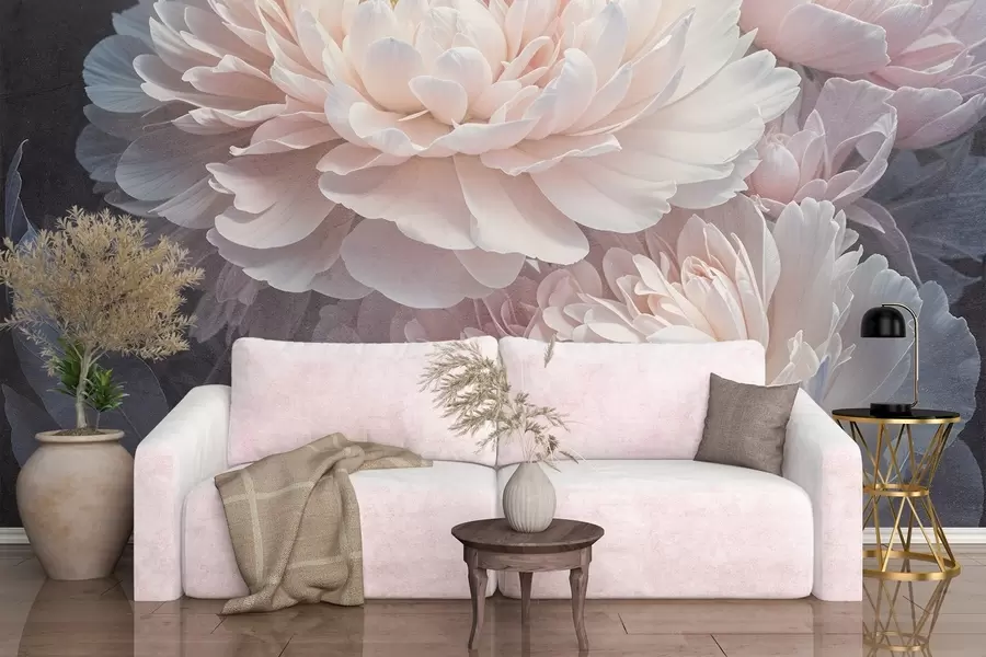 Fototapet En närbild av två stora, skira rosa pioner med mjuka, fluffiga kronblad och blad mot en suddig bakgrund w08382
