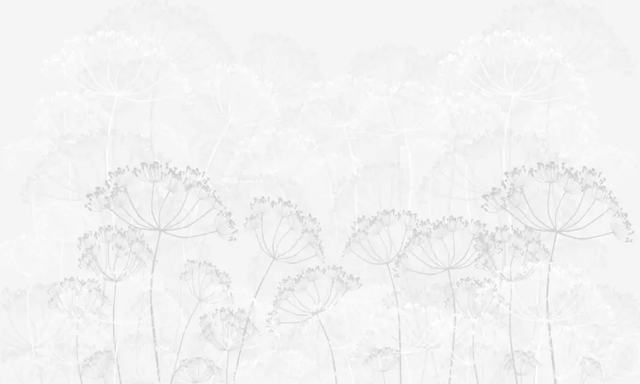 Fototapet Bräckliga växter minimalism grå färg w02105v2