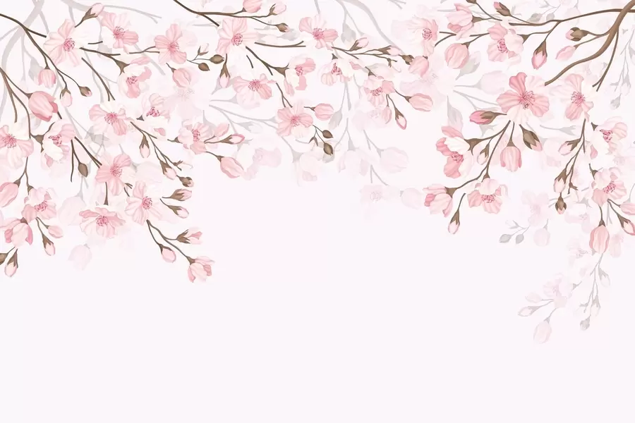 Fototapet rosa blommande grenar på en rosa bakgrund w02200