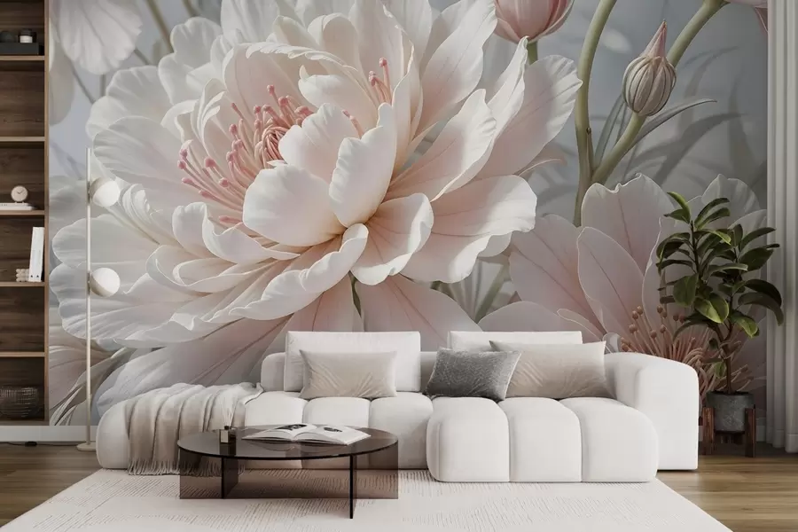 Fototapet Stora, skira vita och rosa pionblommor med mjuka, fluffiga kronblad mot en suddig grå bakgrund w08427