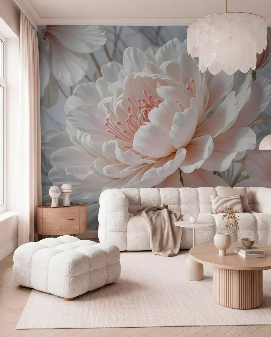 Fototapet Stora, skira vita och rosa pionblommor med mjuka, fluffiga kronblad mot en suddig grå bakgrund w08427