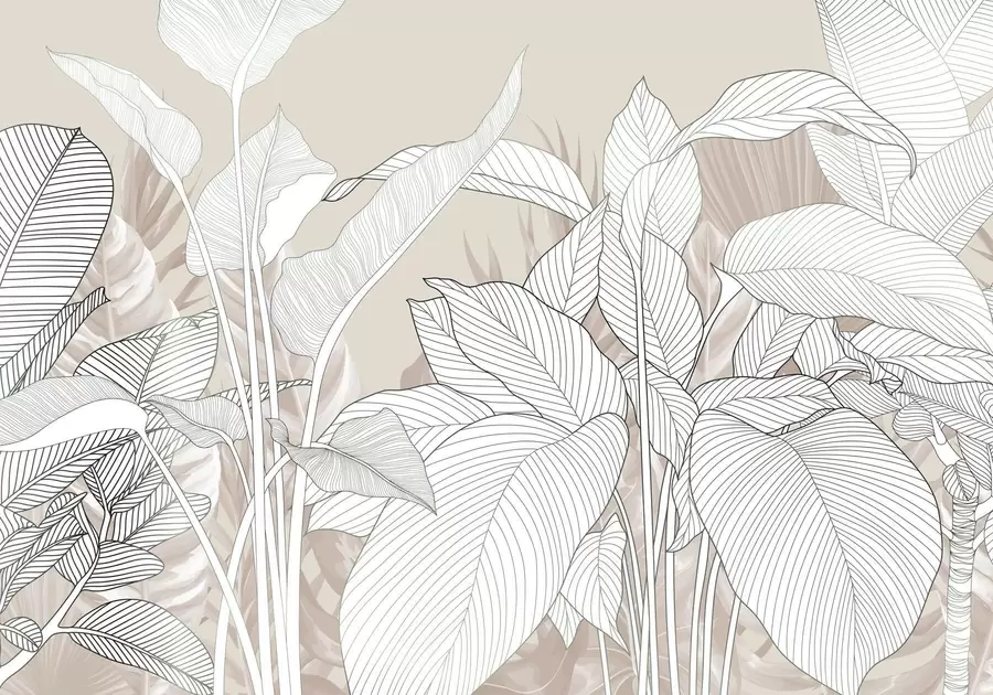 Fototapet En monokrom illustration med stora, stiliserade blad och bladverk med intrikata linjemönster och texturer w08436v1