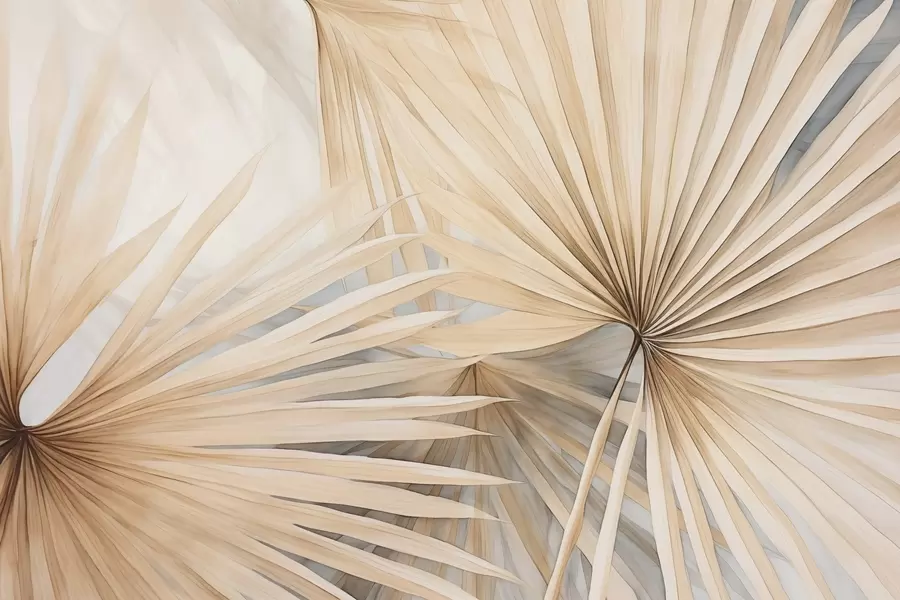 Fototapet Torra palmblad w02431