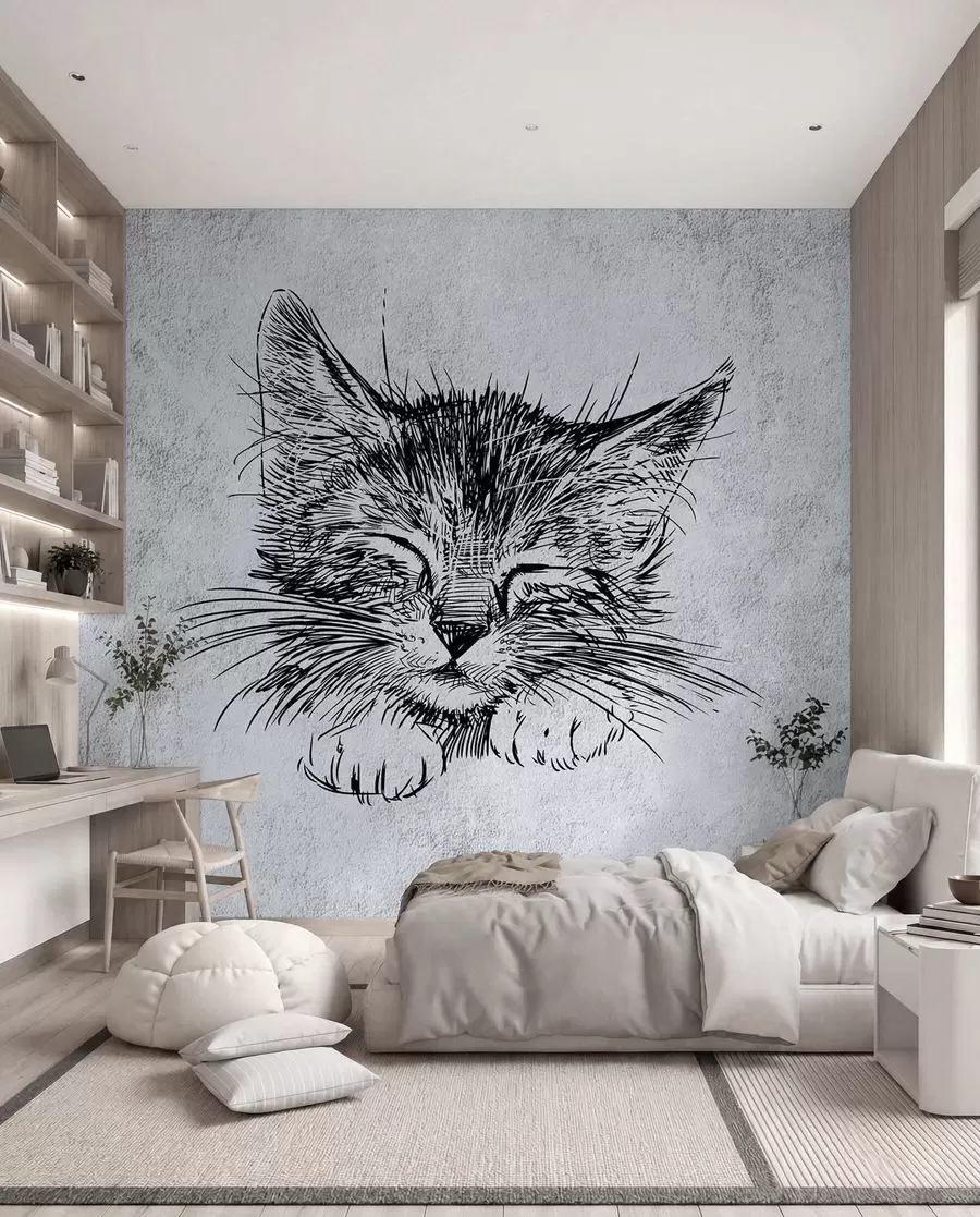 Fototapet Katt, kattdjur från köttätare u43536