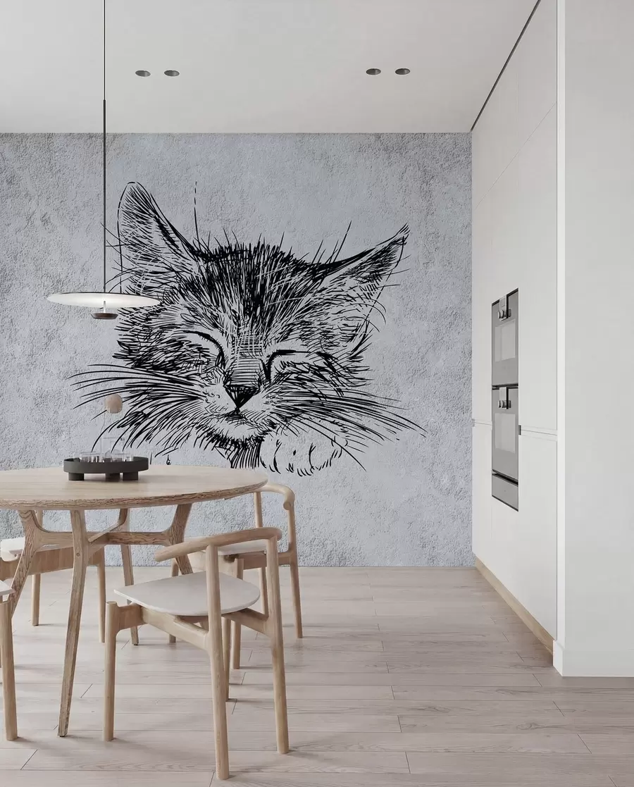 Fototapet Katt, kattdjur från köttätare u43536
