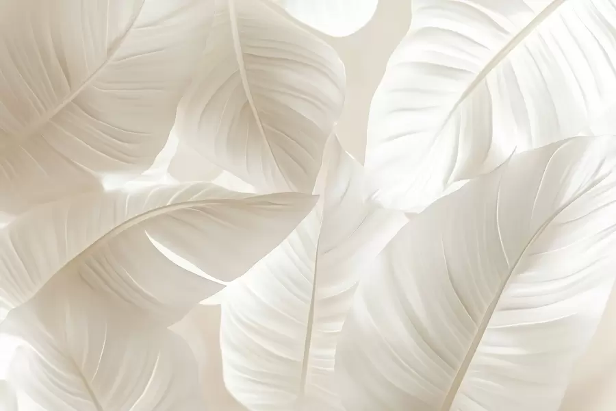 Fototapet Stora skira blad w08565