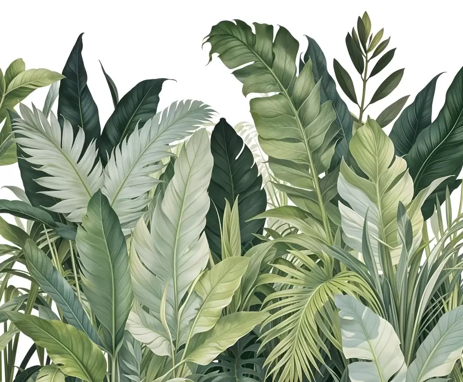 Fototapet Tropiskt bladverk med olika stora gröna blad, inklusive bananblad, palmblad och andra exotiska växtarter w08609