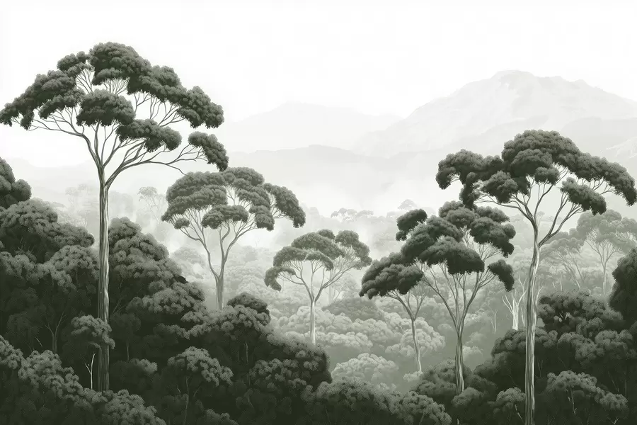 Fototapet Djungelskog, berg, tropisk, natur, stora träd, mörkgröna färger w02739v1