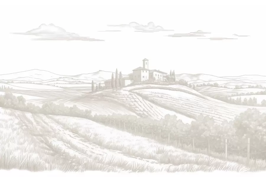 Fototapet Toscana landskap, Italien, vingårdar, natur, gammalt slott, beige färger w03349