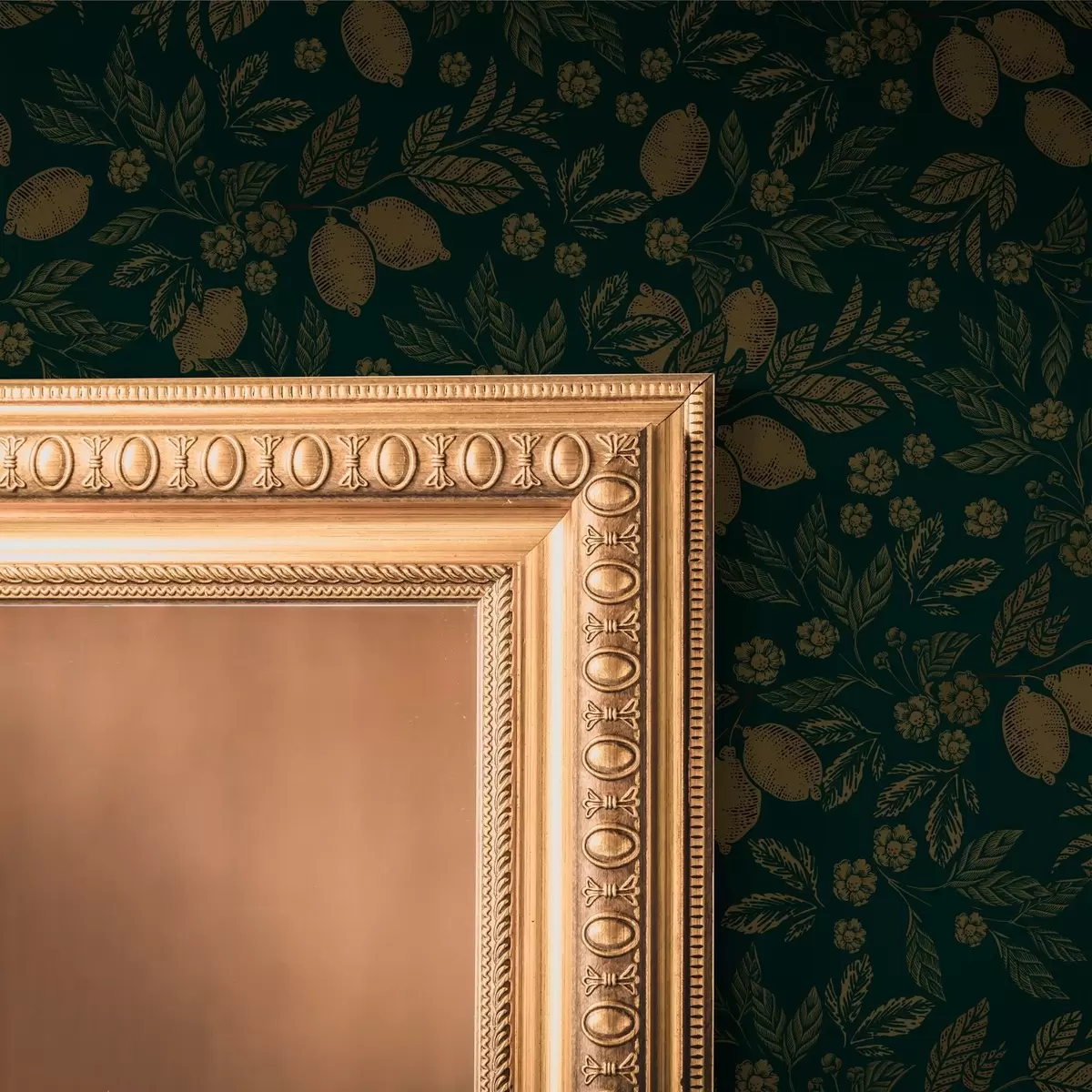 Bakgrund Gulgröna täta blad a00019v2