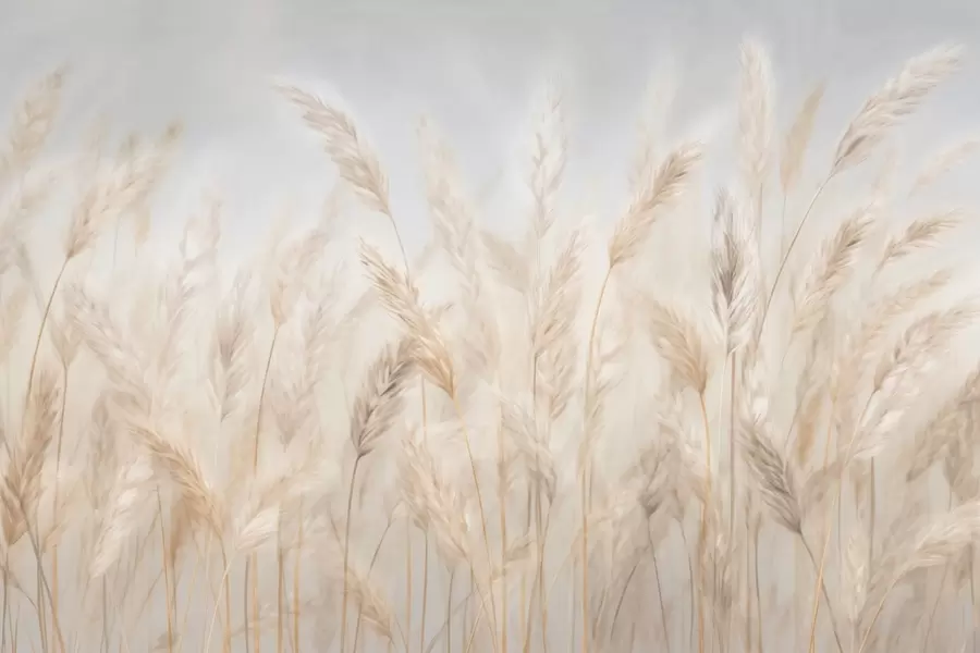 Fototapet Spikelets mot den blå himlen w03530