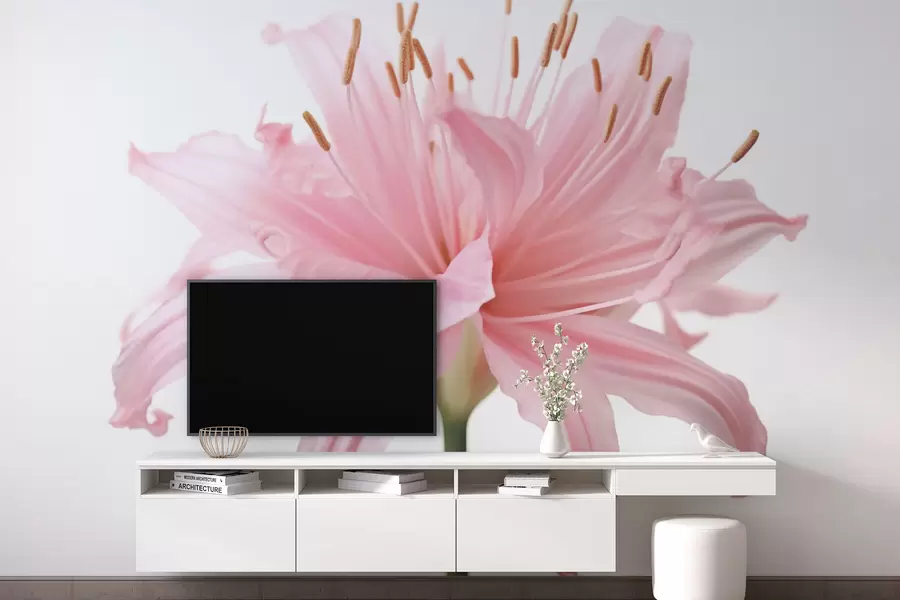 Fototapet Stor rosa blomma w03488