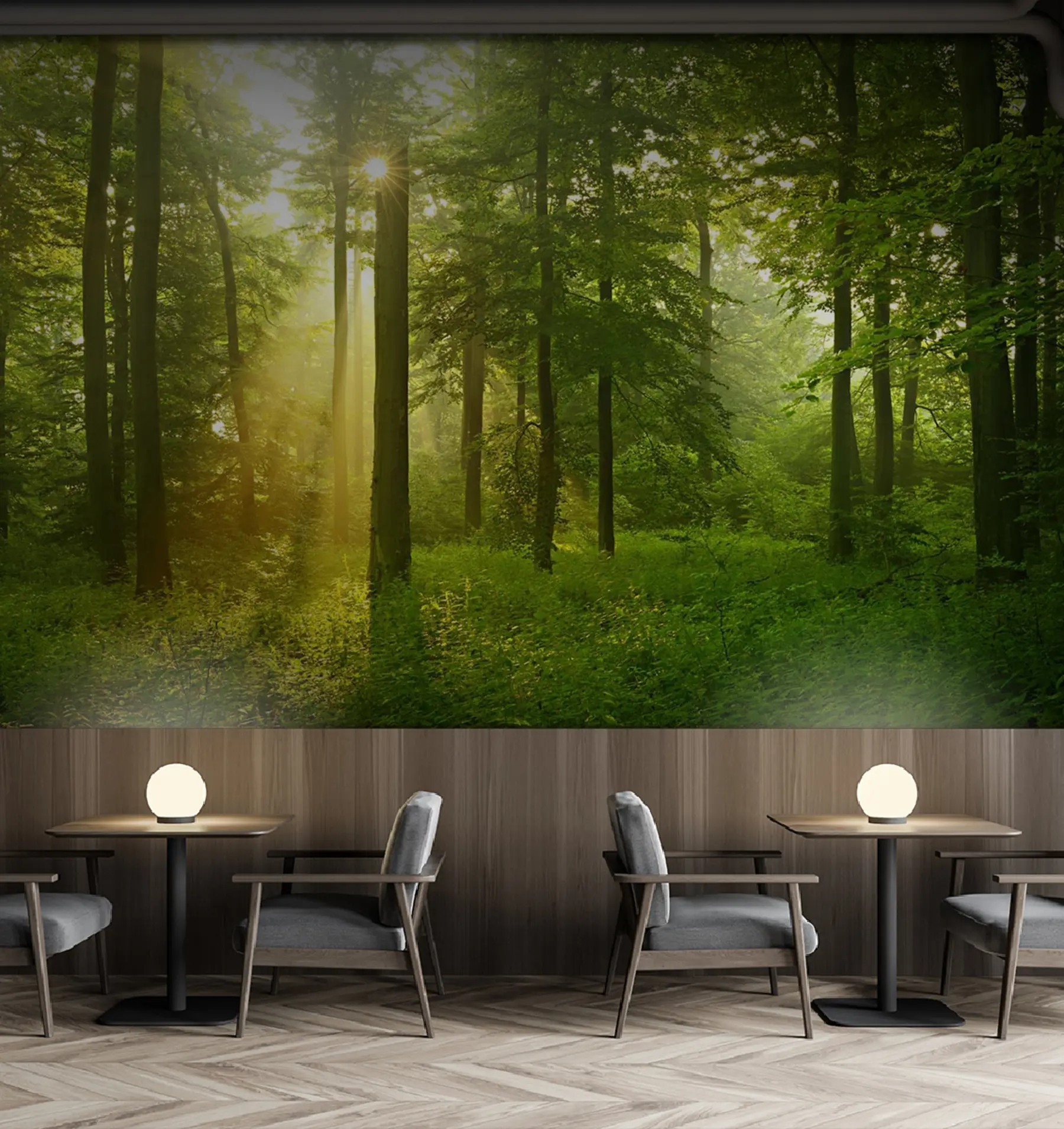 Fototapet Tystnad i den soliga skogen u57295