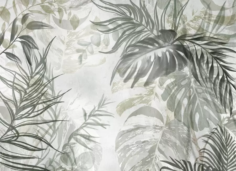 Fototapet Monstera och palmblad i nyanser av grönt och grått, botaniskt, tropiskt bladverk, djungelväxter, texturerad bakgrund w09011