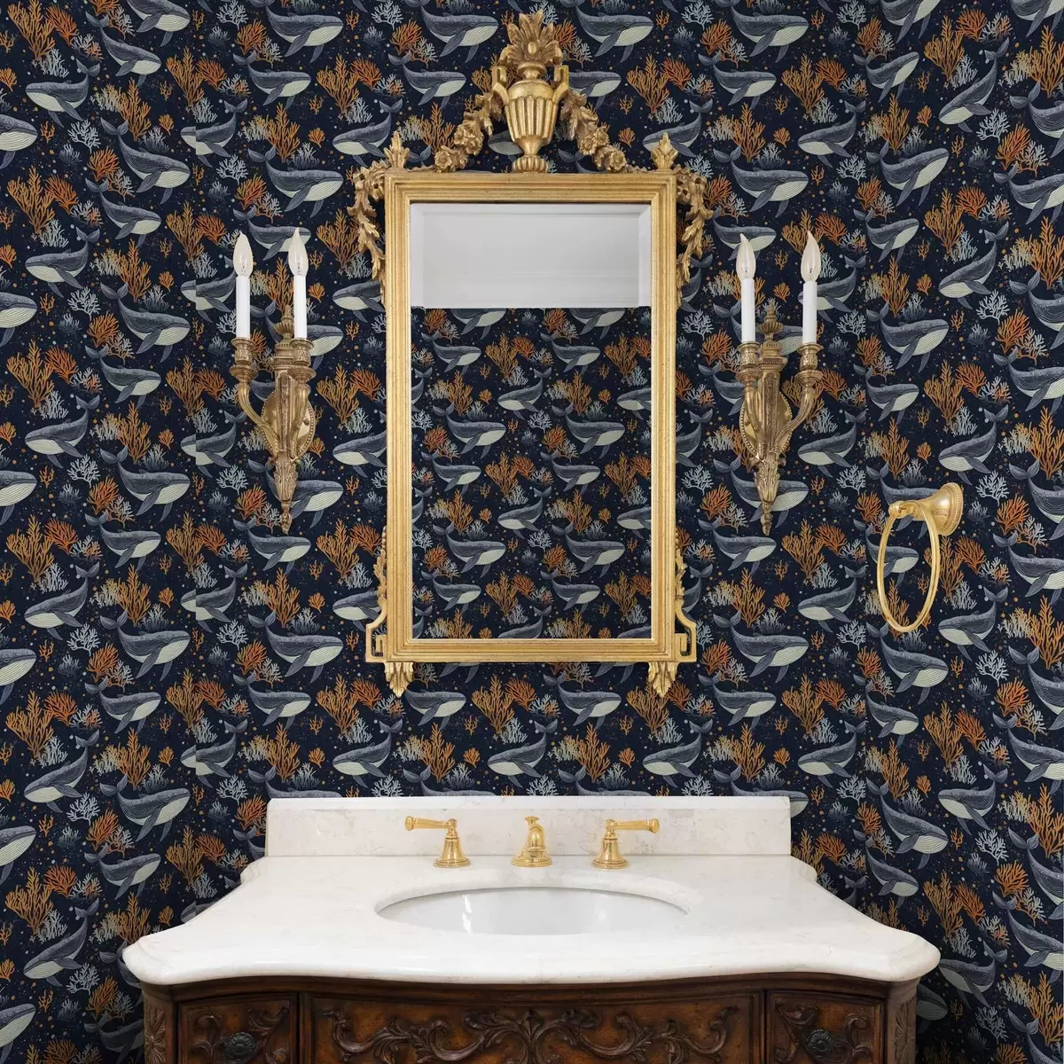 Bakgrund Havsvalar och koraller på mörk bakgrund a00116