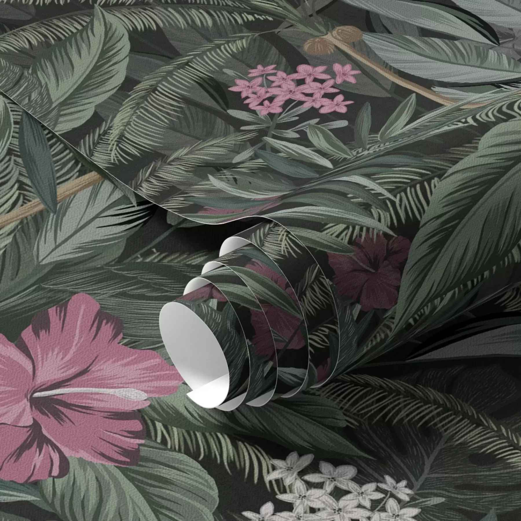 Fototapet Tropiska blad och fågel på en mörk bakgrund a00140