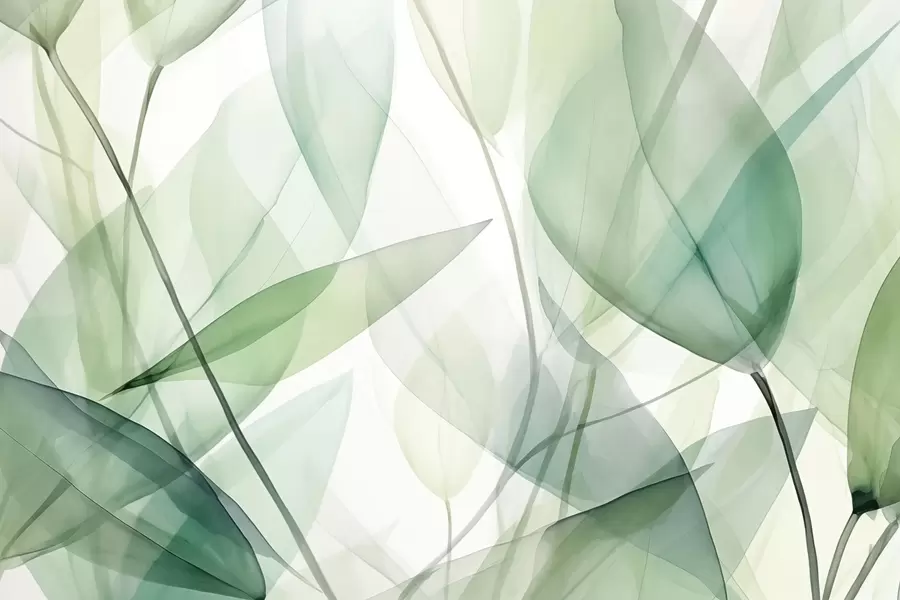 Fototapet Bladens genomskinliga vener w04145