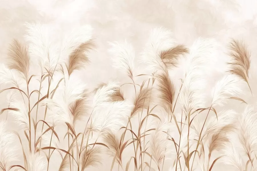 Fototapet Eleganta blommor av pampasgräs i mjuka beige och mjölkiga toner w09150v1