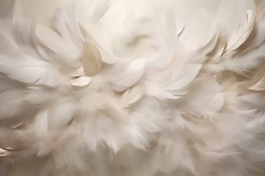 Fototapet Fluffiga fjädrar och dun i krämiga nyanser w09274
