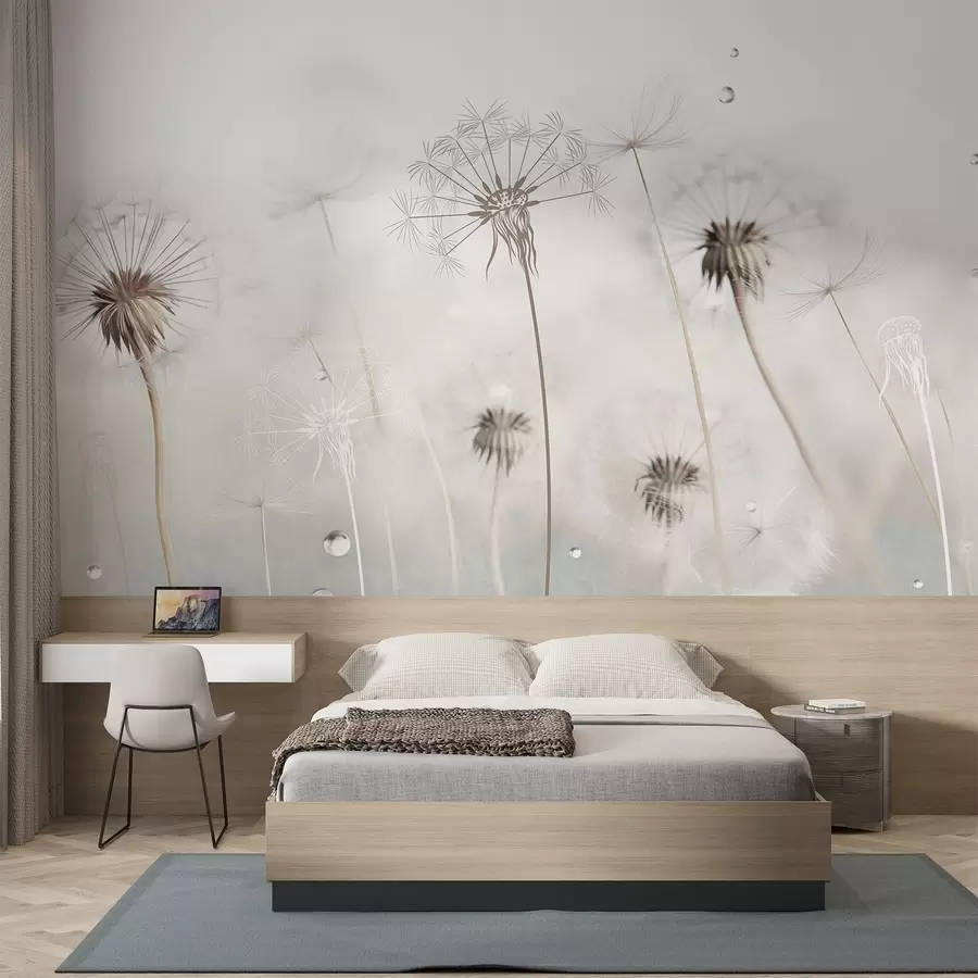 Fototapet Maskrosor med vattendroppar, vit bakgrund, närbild, mjukt ljus, natur, botanisk, eterisk, delikat, minimalistisk w09399