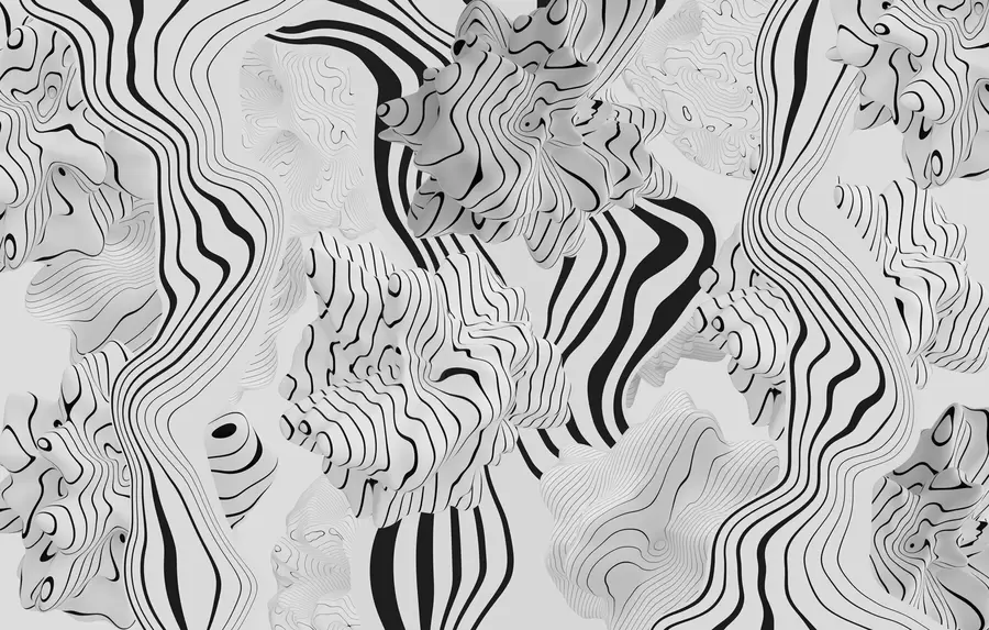 Fototapet abstrakta organiska former i 3D-stil i vita och grå toner med svarta ränder w04627