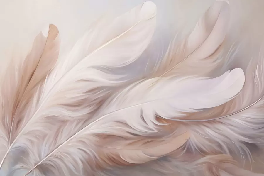 Fototapet Fjädrar w04775