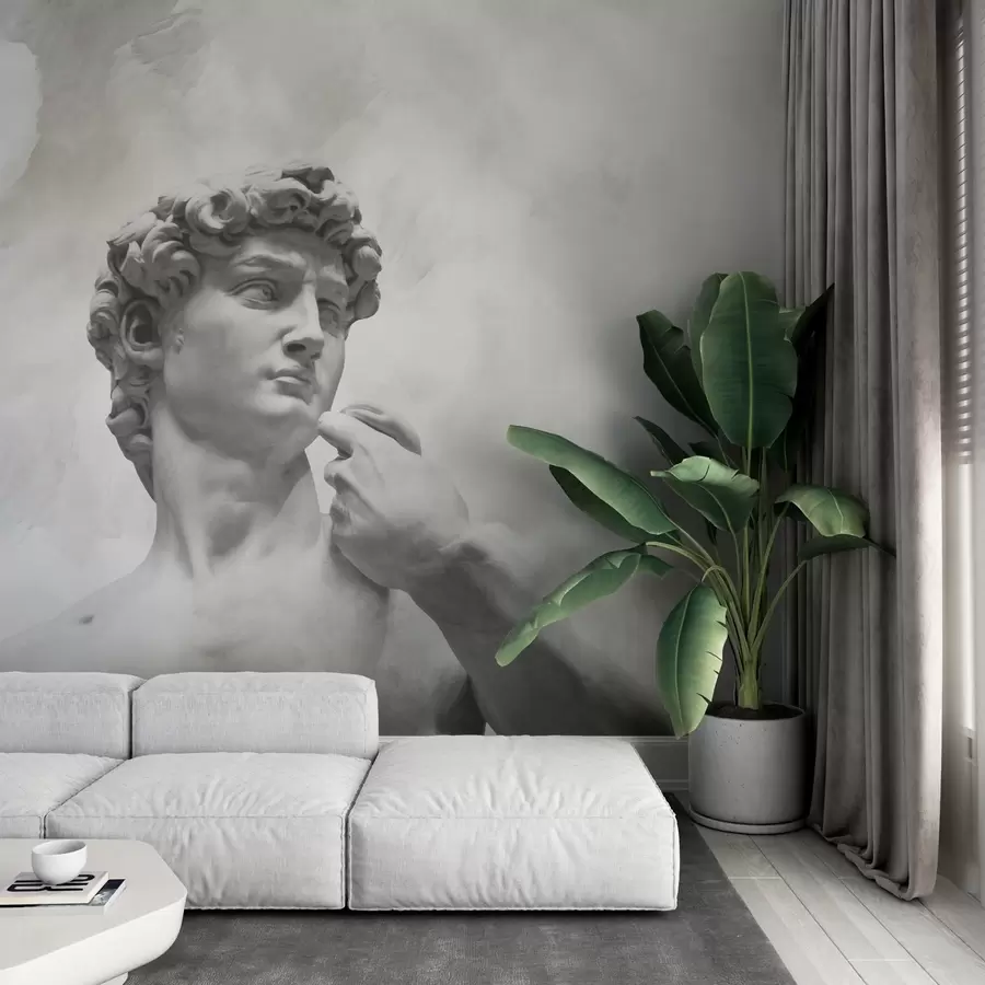 Fototapet Renässansens anda w04767