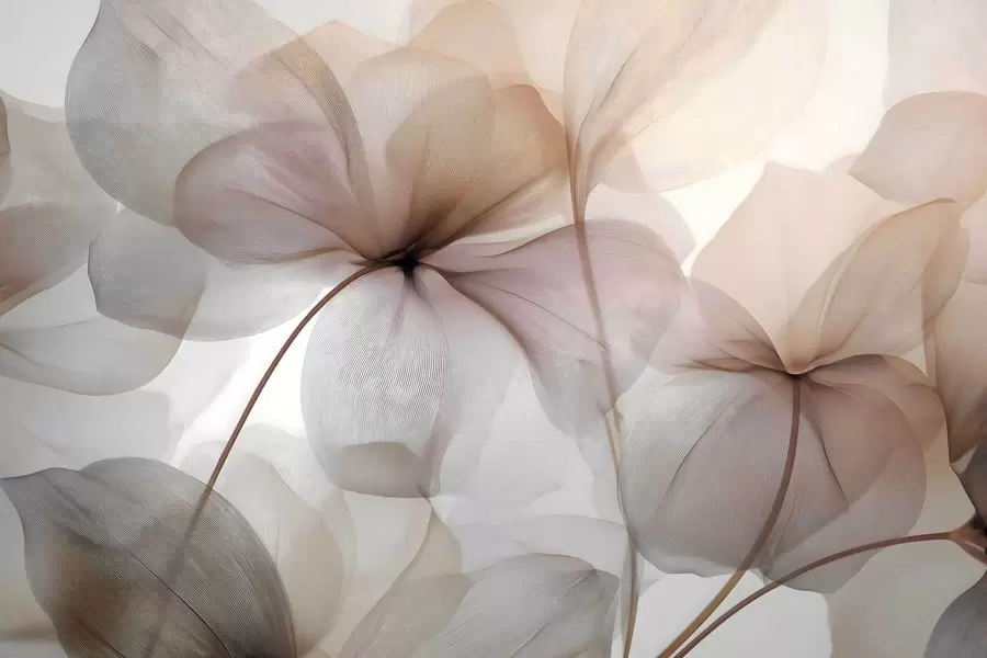 Fototapet halvtransparenta blommor med ådror w05070