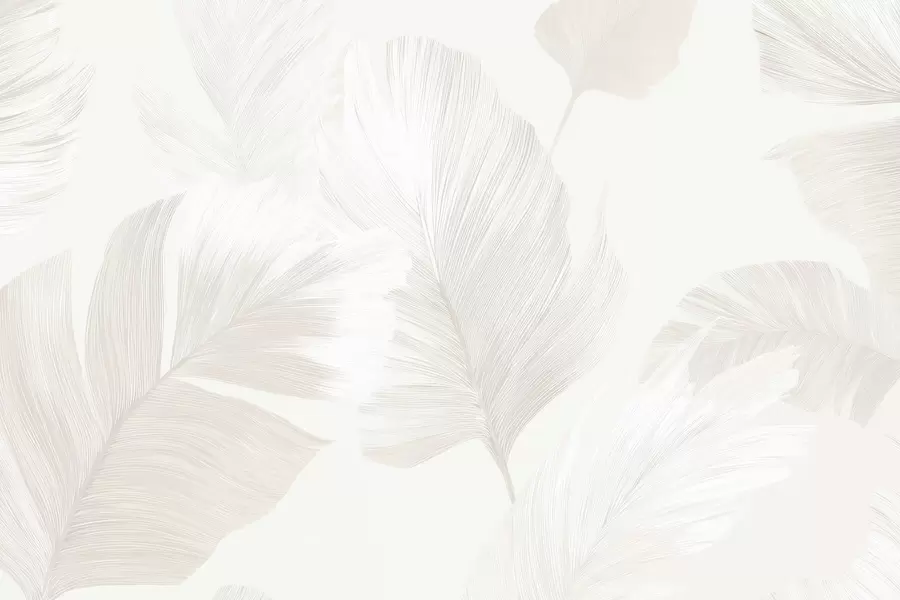 Fototapet Mjuka elfenbensfärgade fjädrar i mjölkiga beige toner w09563
