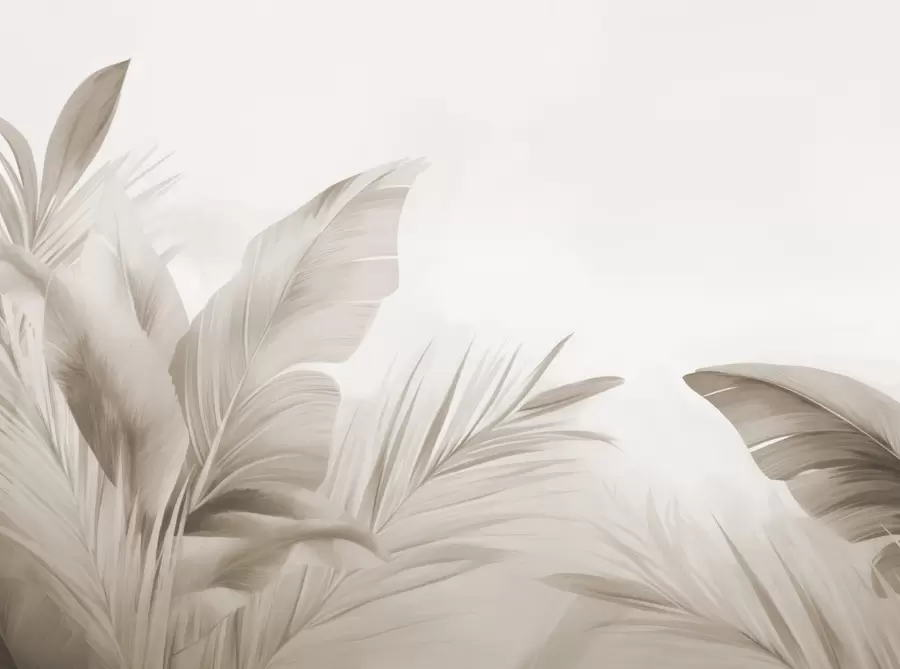 Fototapet Bananblad, långa blad w05377