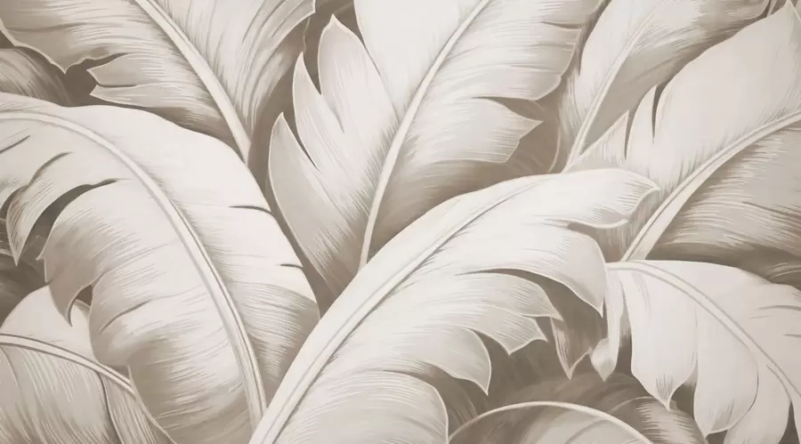 Fototapet Stora bananblad w04991