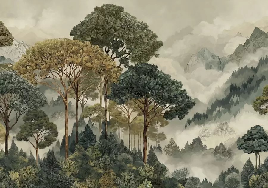 Fototapet Skog med höga träd i dimmiga berg w05410